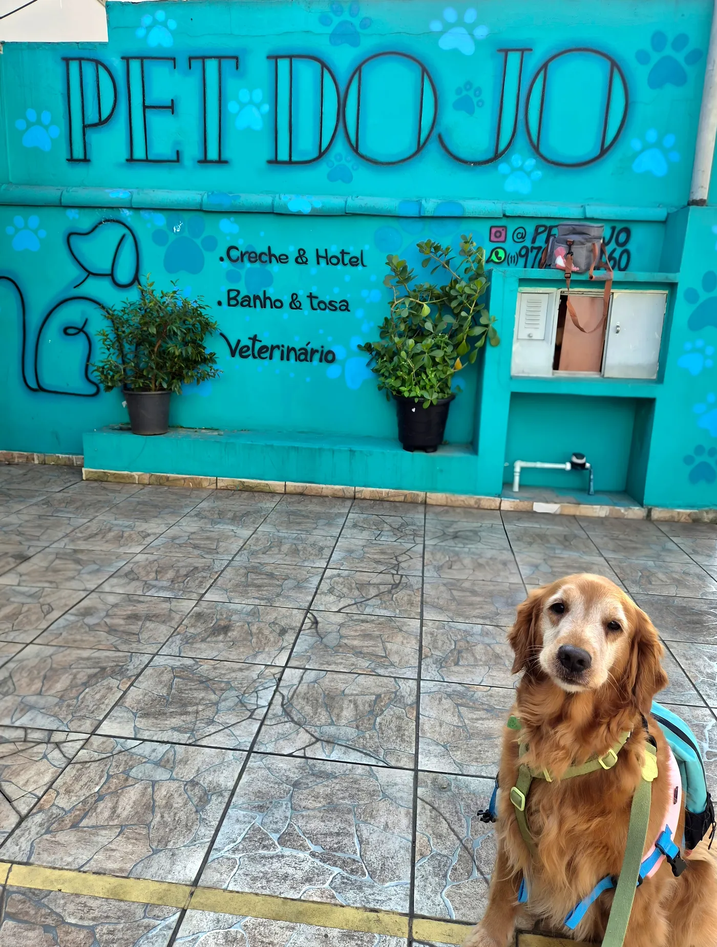 Consultório veterinário Pet Dojo em Taboão da Serra